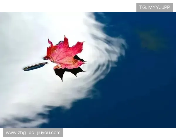 球迷佳话：那些因篮球结缘的真实故事，岁月带来无尽的悲伤,篮球却讲述最好的故事