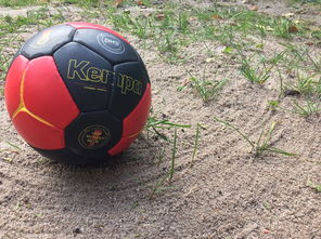 九游官网入口地址-“沙滩赛场燃爆天府新区，沙滩手球和合球上演极限对决”