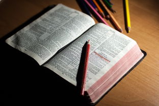 九游体育下载-体育教师能力认证制度在试点城市启动，体育教师资格证认定条件